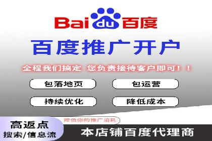 SEM服务案例：打造行业领先品牌